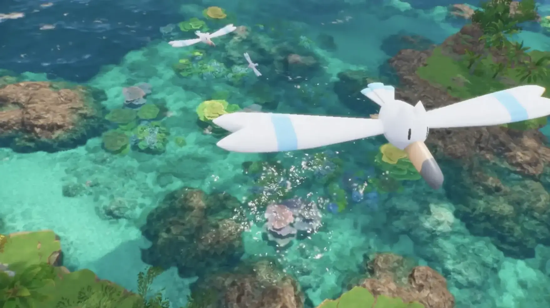 A pair of Wingull soaring across the sky in the Pokémon Winds and Pokémon Waves main theme video