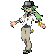 N